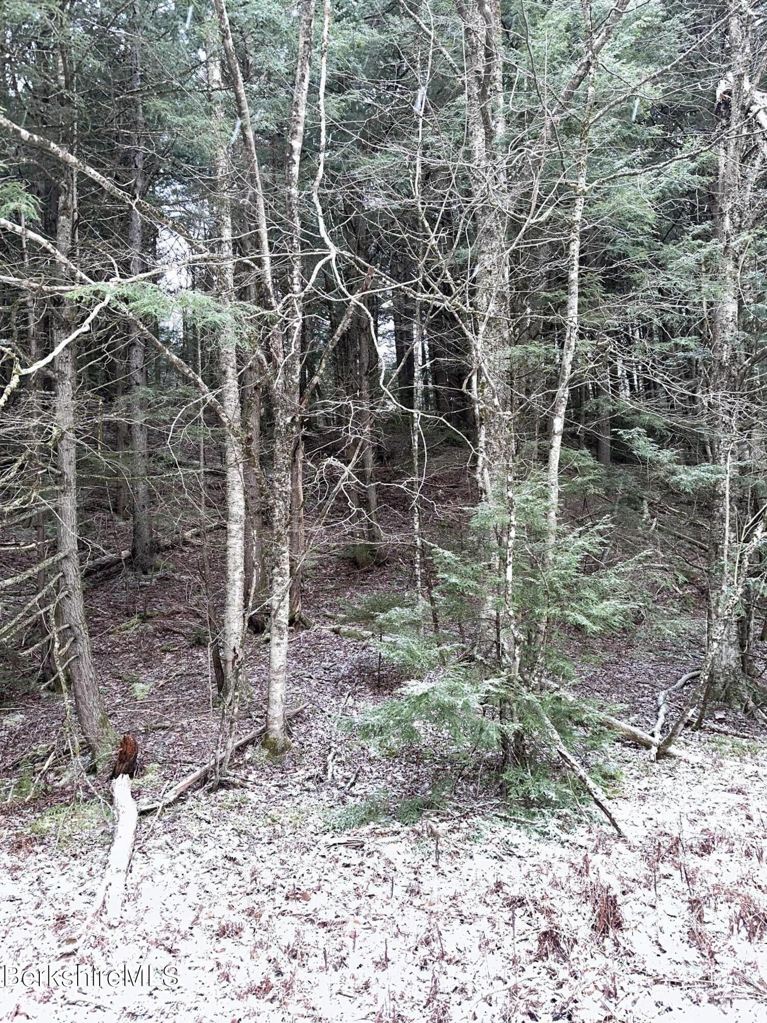 0 Old Rte 9 Windsor, MA 01270 - Photo 3 of 4 a backyard of a house