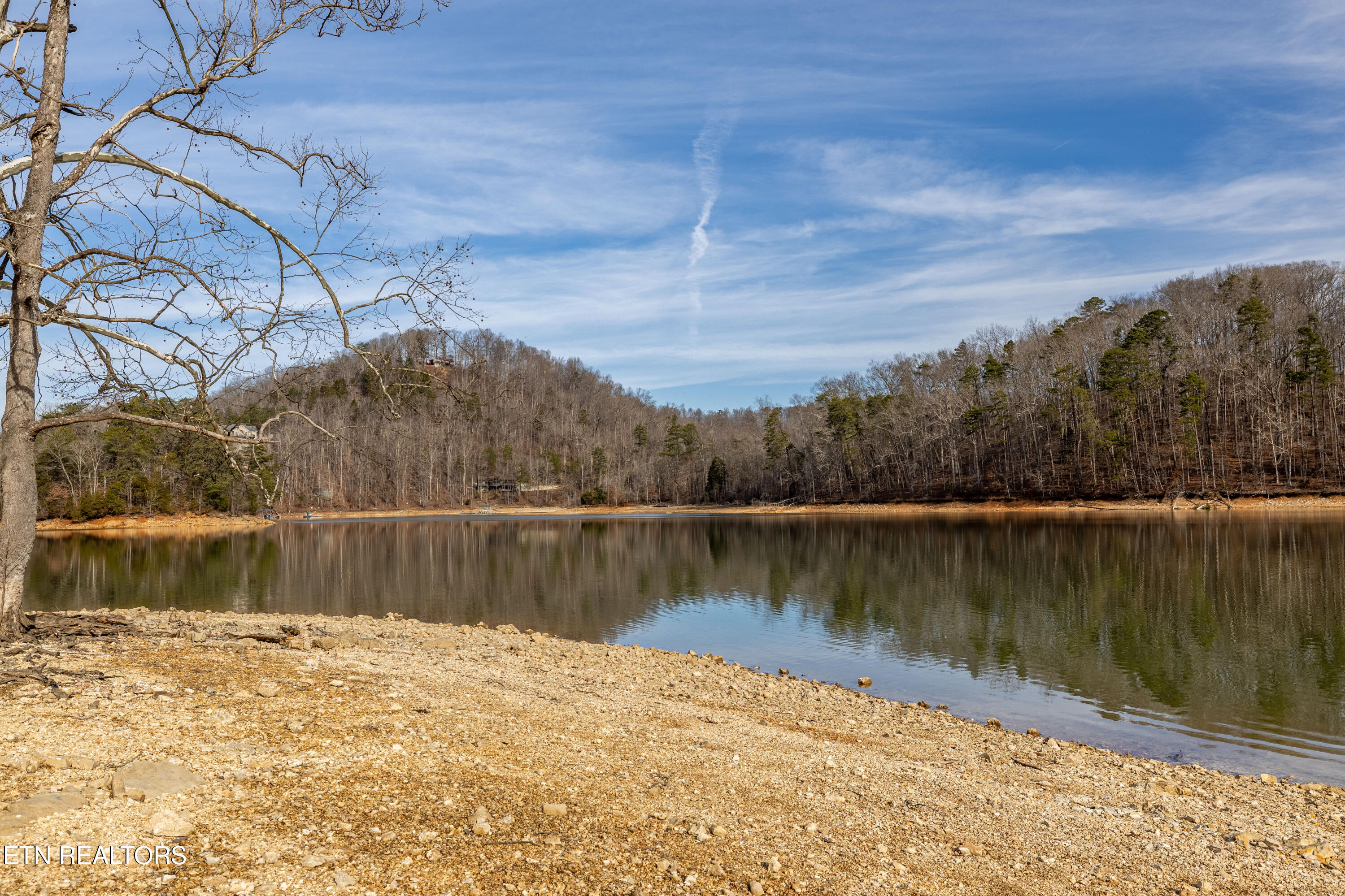 Shady Cove Road Caryville, TN 37714 - Photo 13 of 14 Lake-4