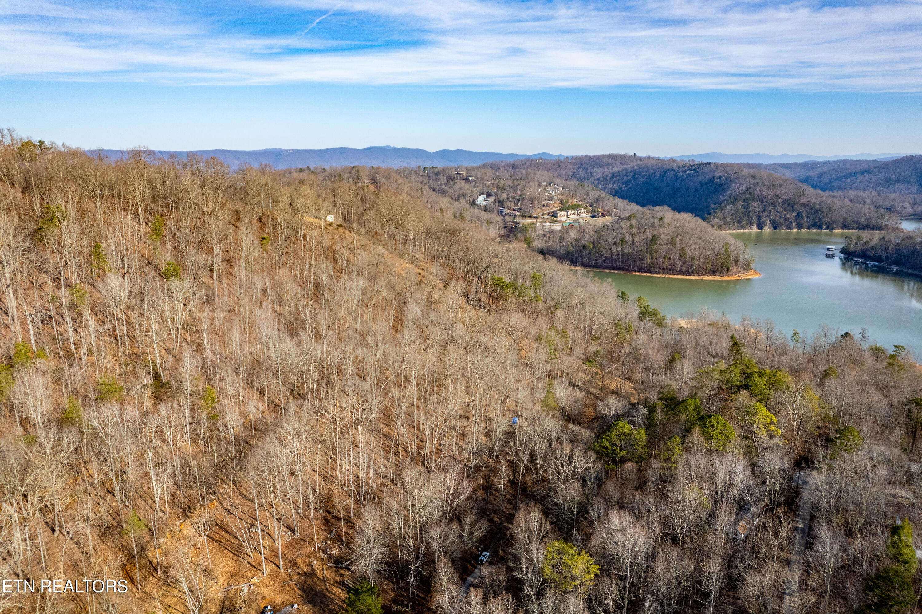 Shady Cove Road Caryville, TN 37714 - Photo 6 of 14 Land-7