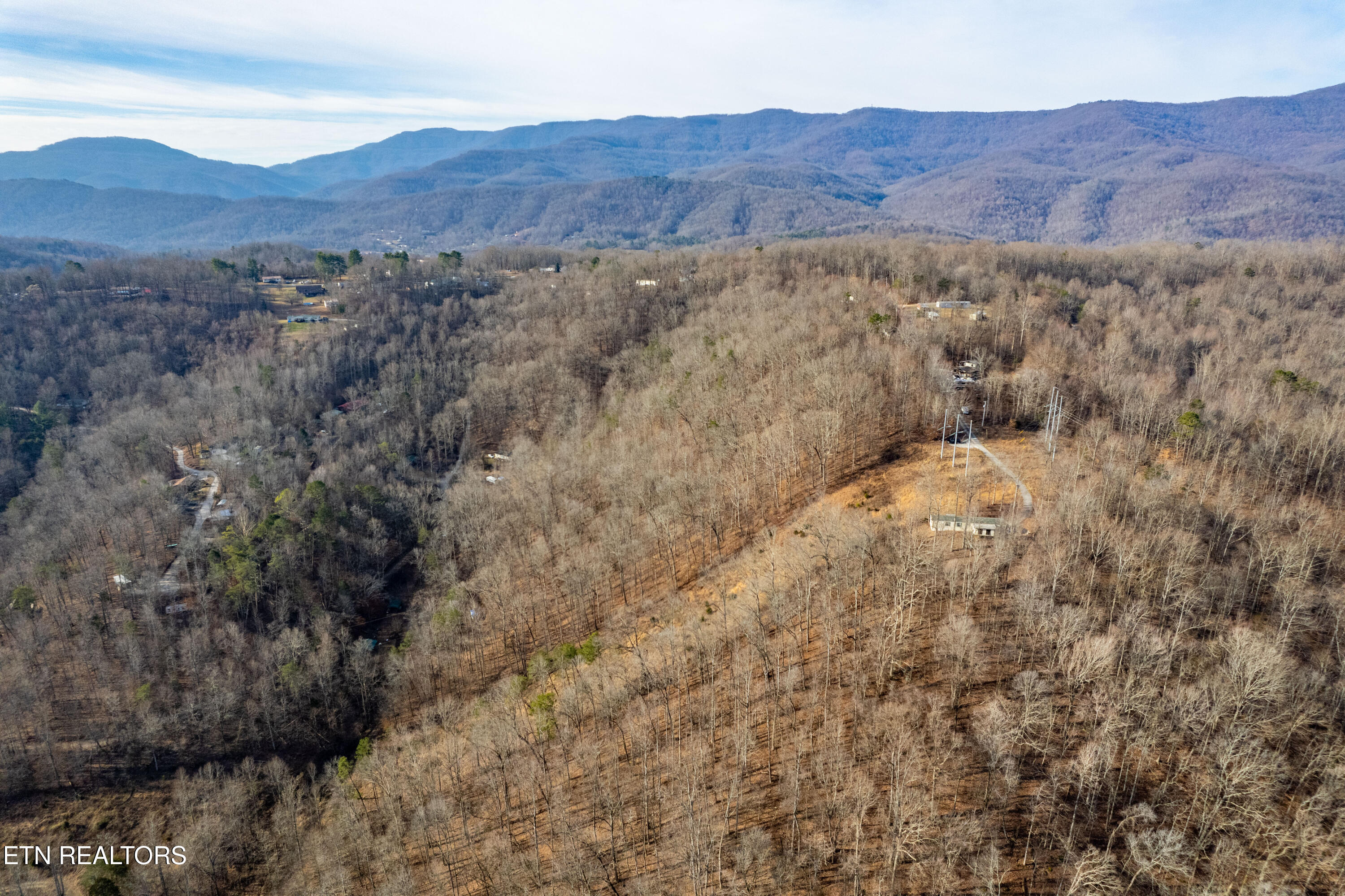 Shady Cove Road Caryville, TN 37714 - Photo 7 of 14 Land-8