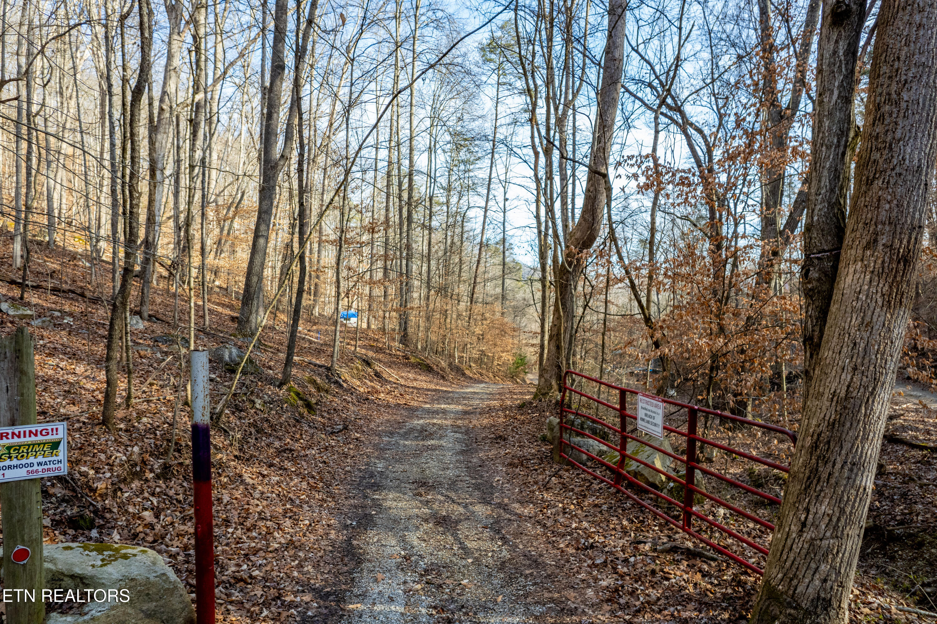 Shady Cove Road Caryville, TN 37714 - Photo 9 of 14 Lake Access