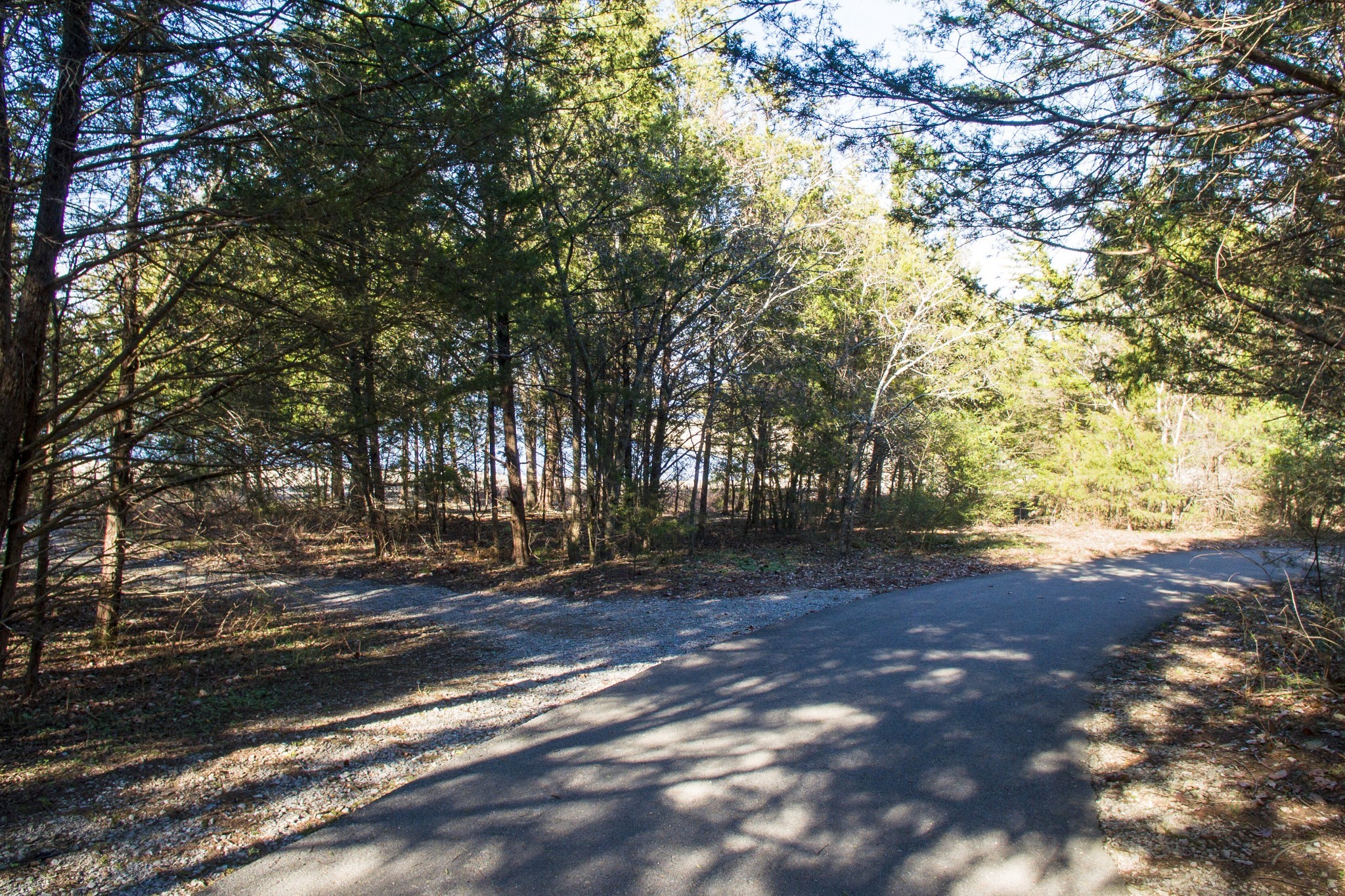 4001 Anderson Road, Unit U143 Nashville, TN 37217 - Photo 10 of 32 Gallery Image 10