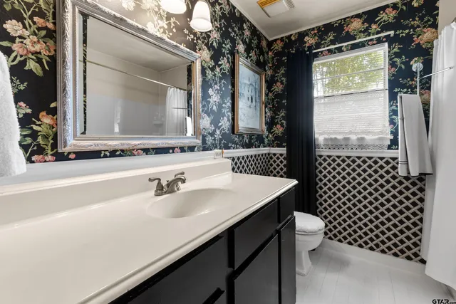 a bathroom with a sink vanity mirror and toilet