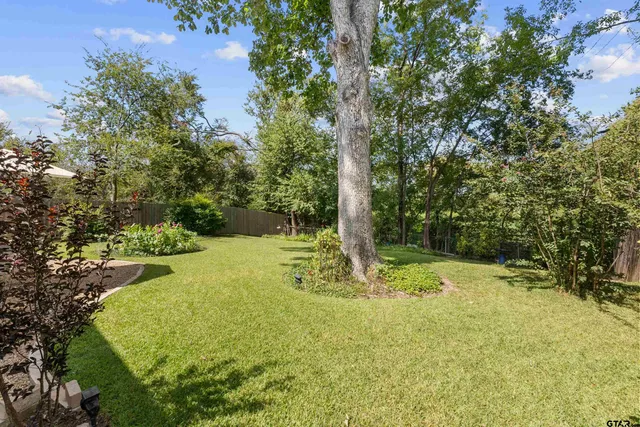 a view of a yard with a tree