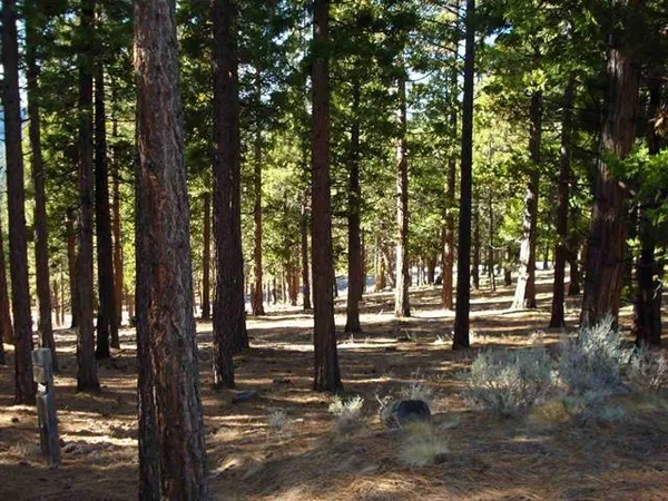 $16,900 | 296 Cedar Lane, Portola, CA 96122