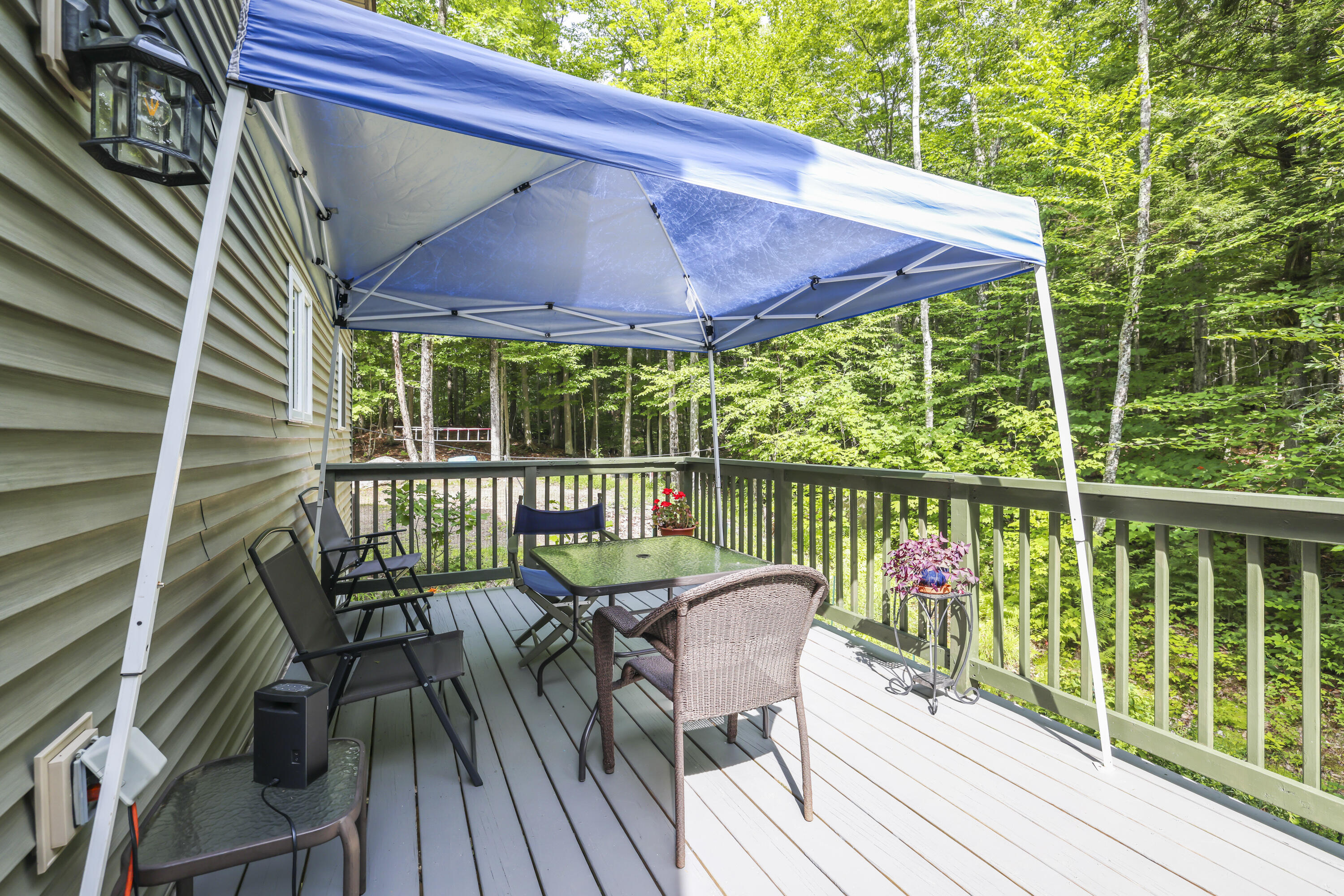 17 Molly Lane Sebago, ME 04029 - Photo 9 of 35 3G0A4307