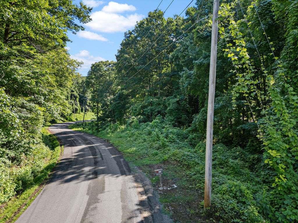 0 Shinbone Ridge Road LaFayette, GA 30728 - Photo 3 of 12