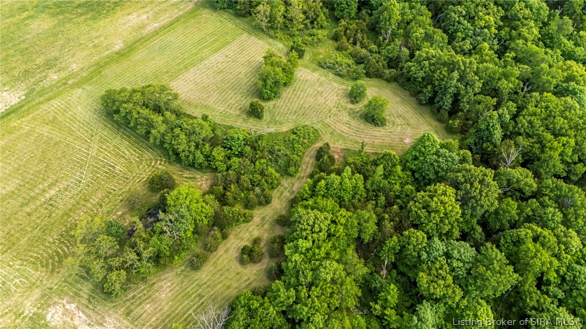 2904 North Rykers Ridge Road Madison, IN 47250 - Photo 58 of 61 Pristine pastures