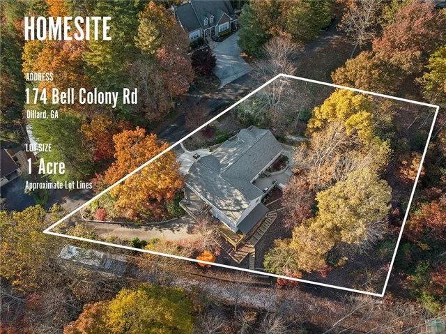 a aerial view of a golf course with a tree