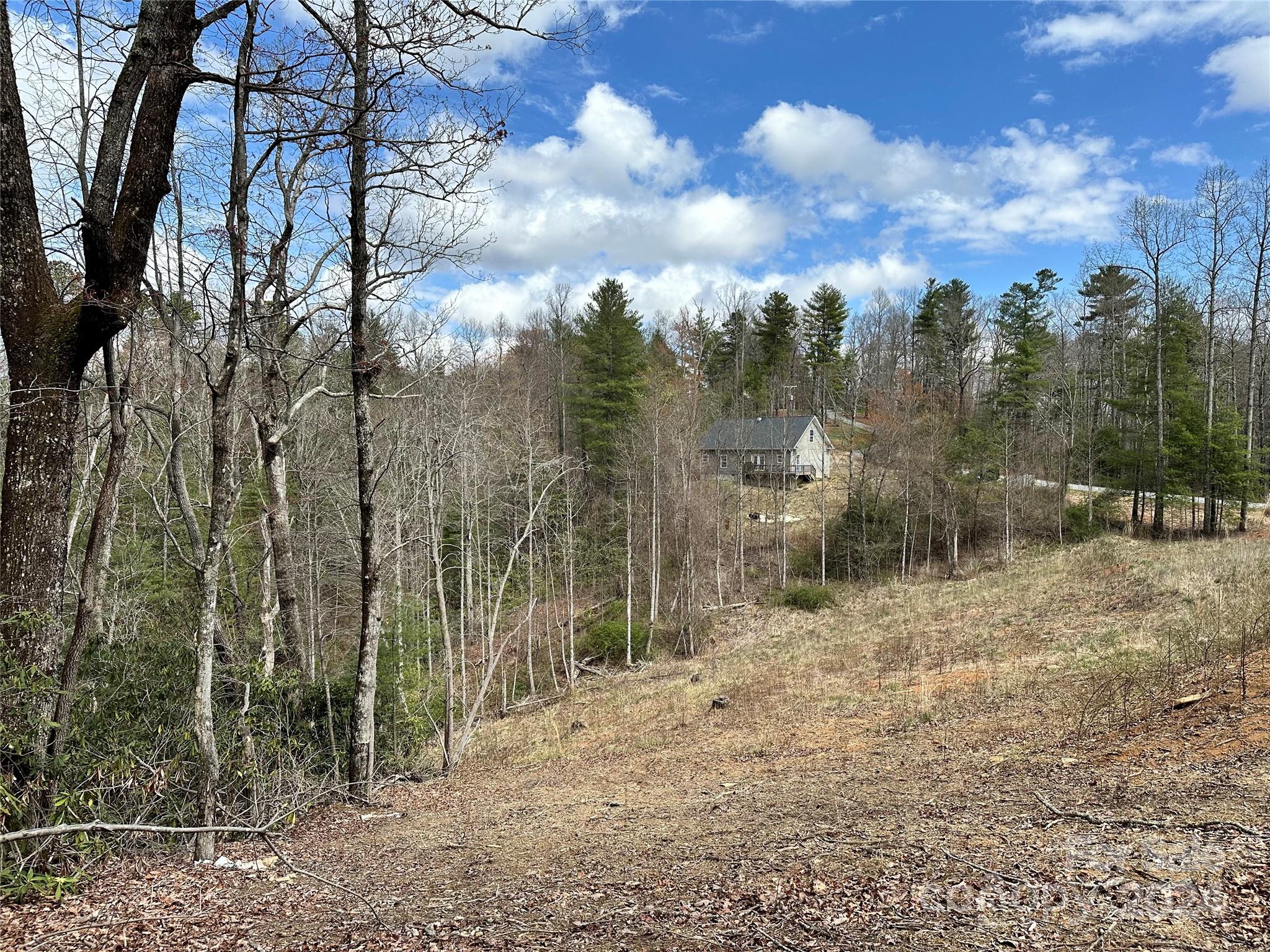 1679 Macedonia Road Saluda, NC 28773 - Photo 16 of 26 Gallery Image 16