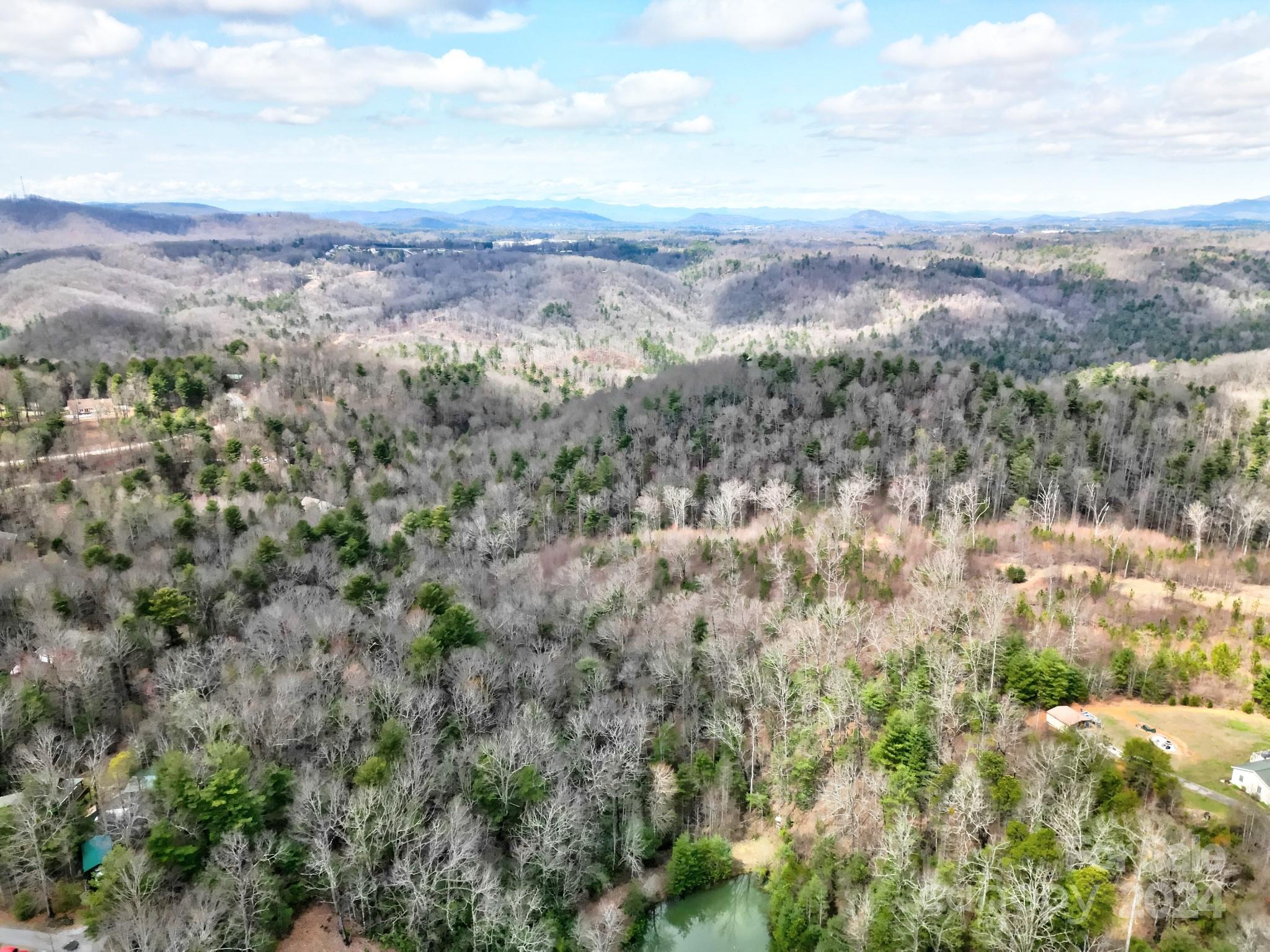 1679 Macedonia Road Saluda, NC 28773 - Photo 9 of 26 Gallery Image 9