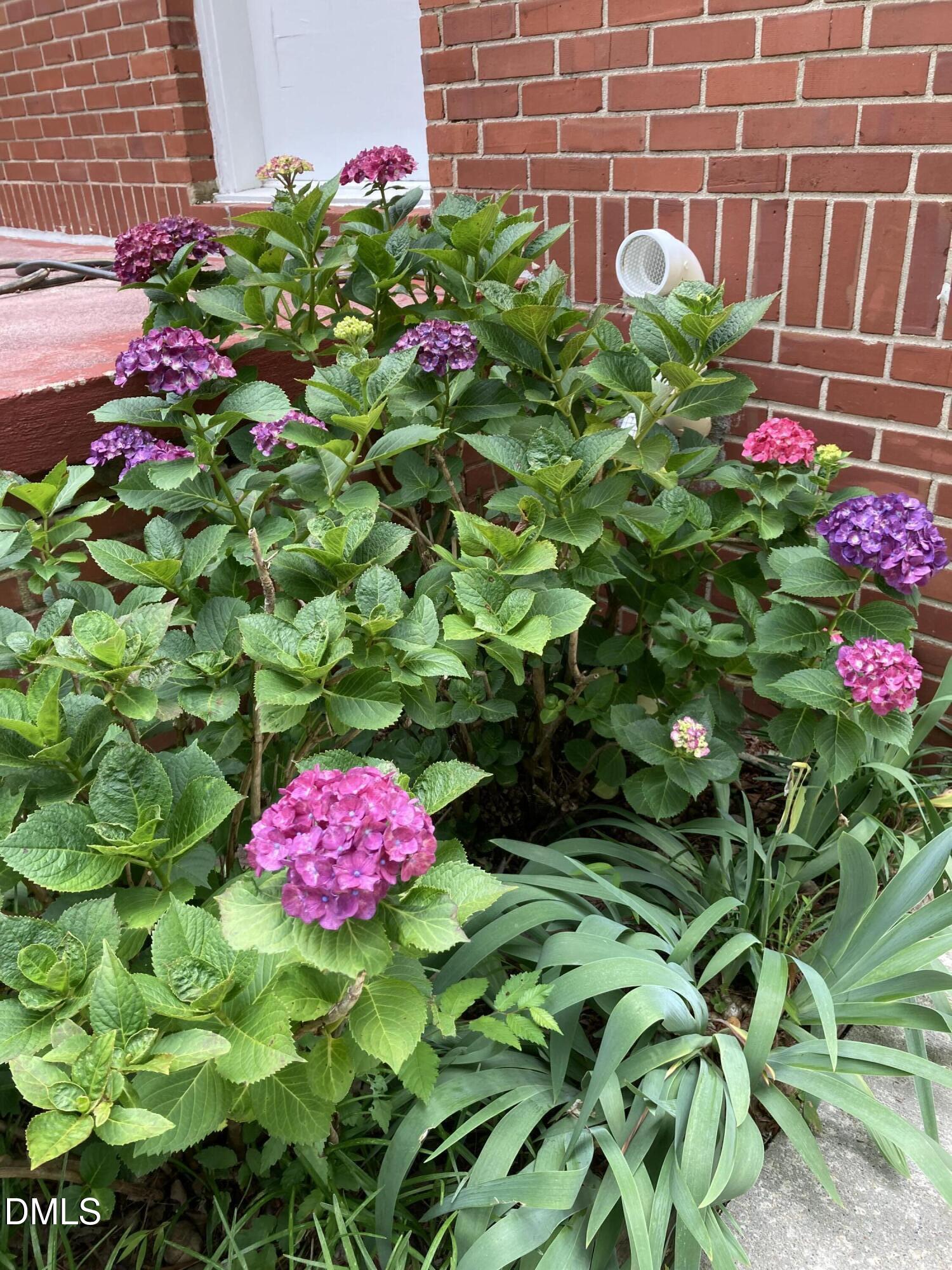 2064 Oxford Road Henderson, NC 27536 - Photo 61 of 68 IMG_3097