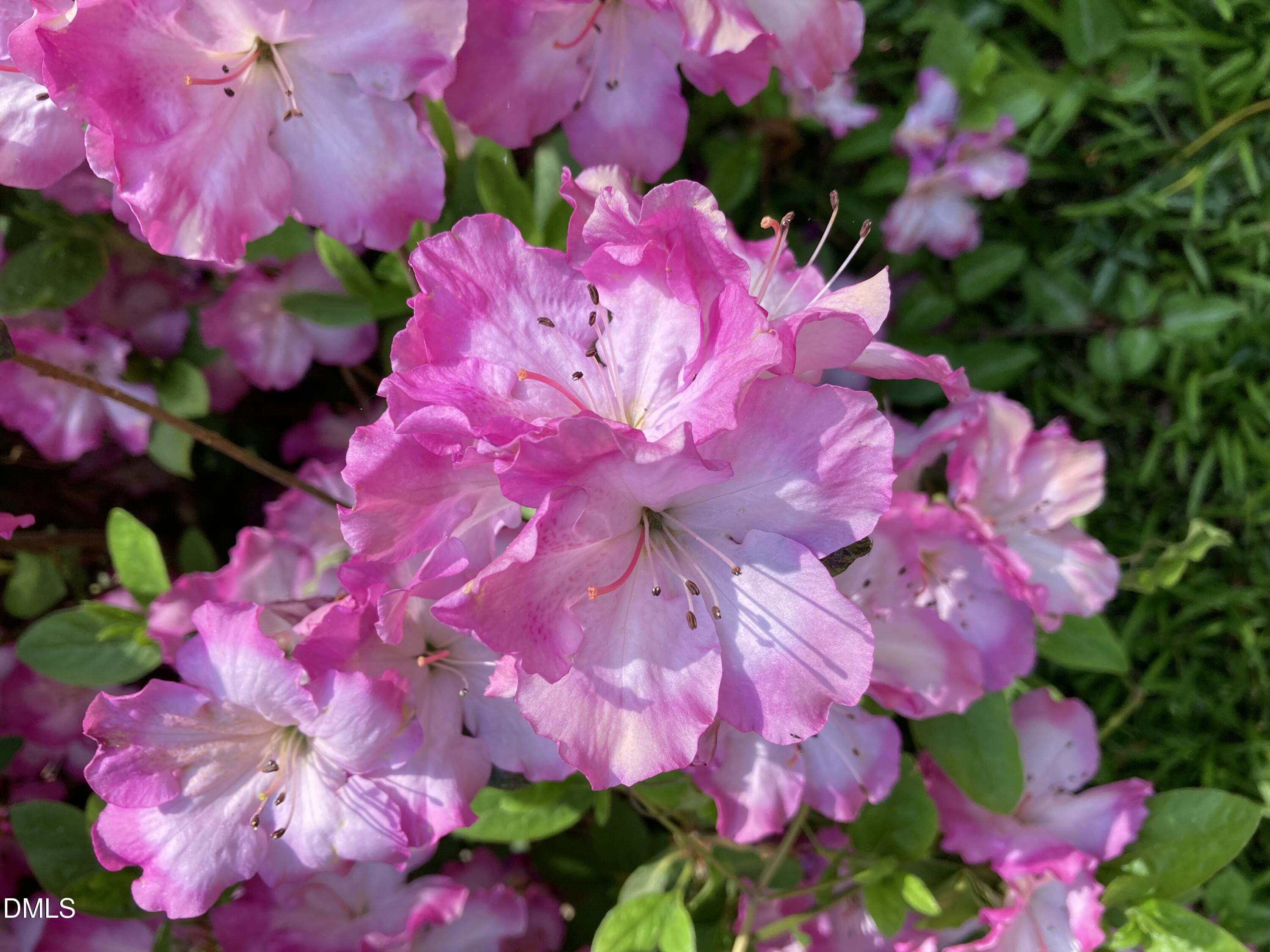 2064 Oxford Road Henderson, NC 27536 - Photo 62 of 68 IMG_3025