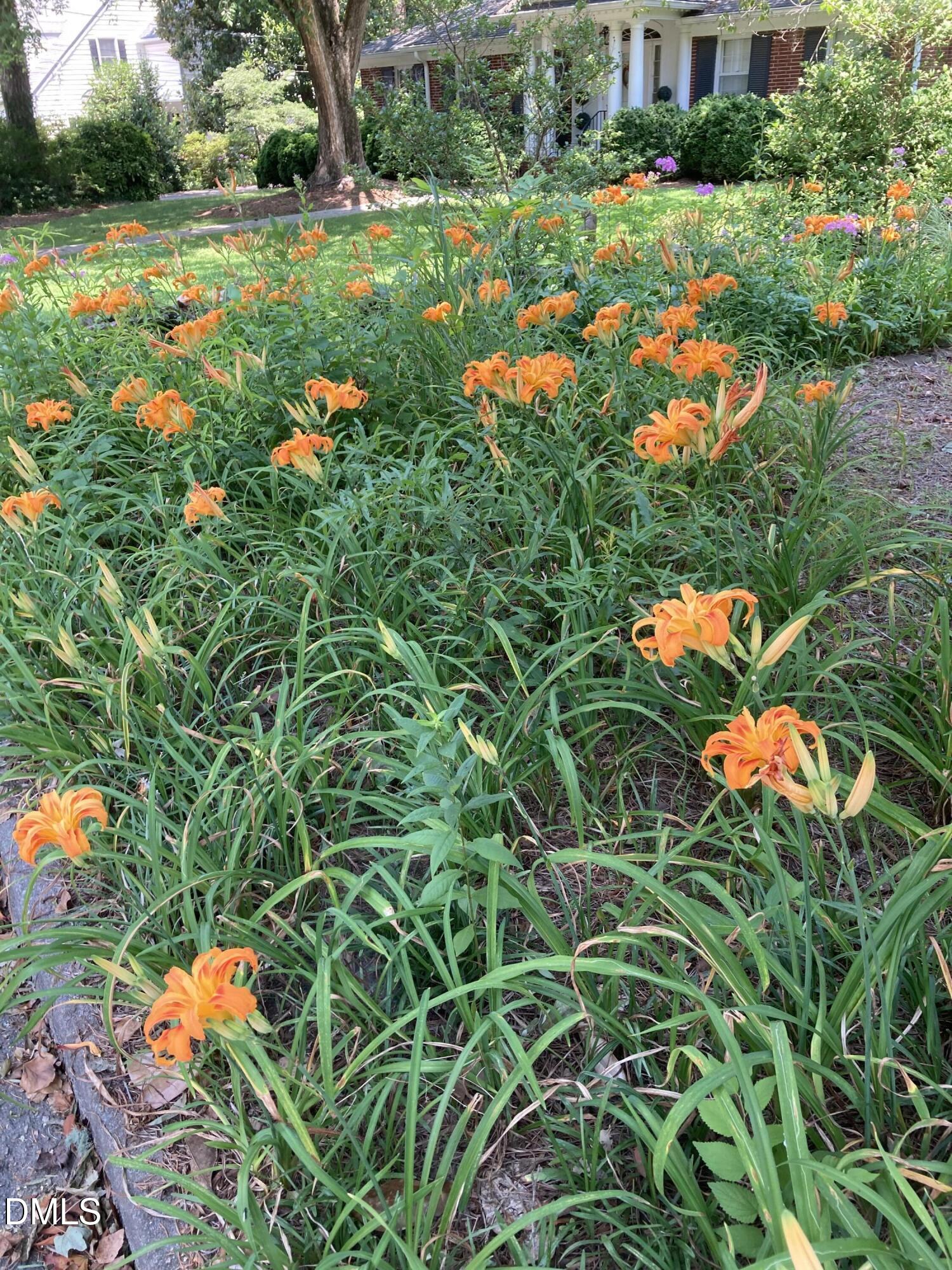 2064 Oxford Road Henderson, NC 27536 - Photo 64 of 68 an aerial view of a house with a yard basket ball court and outdoor seating