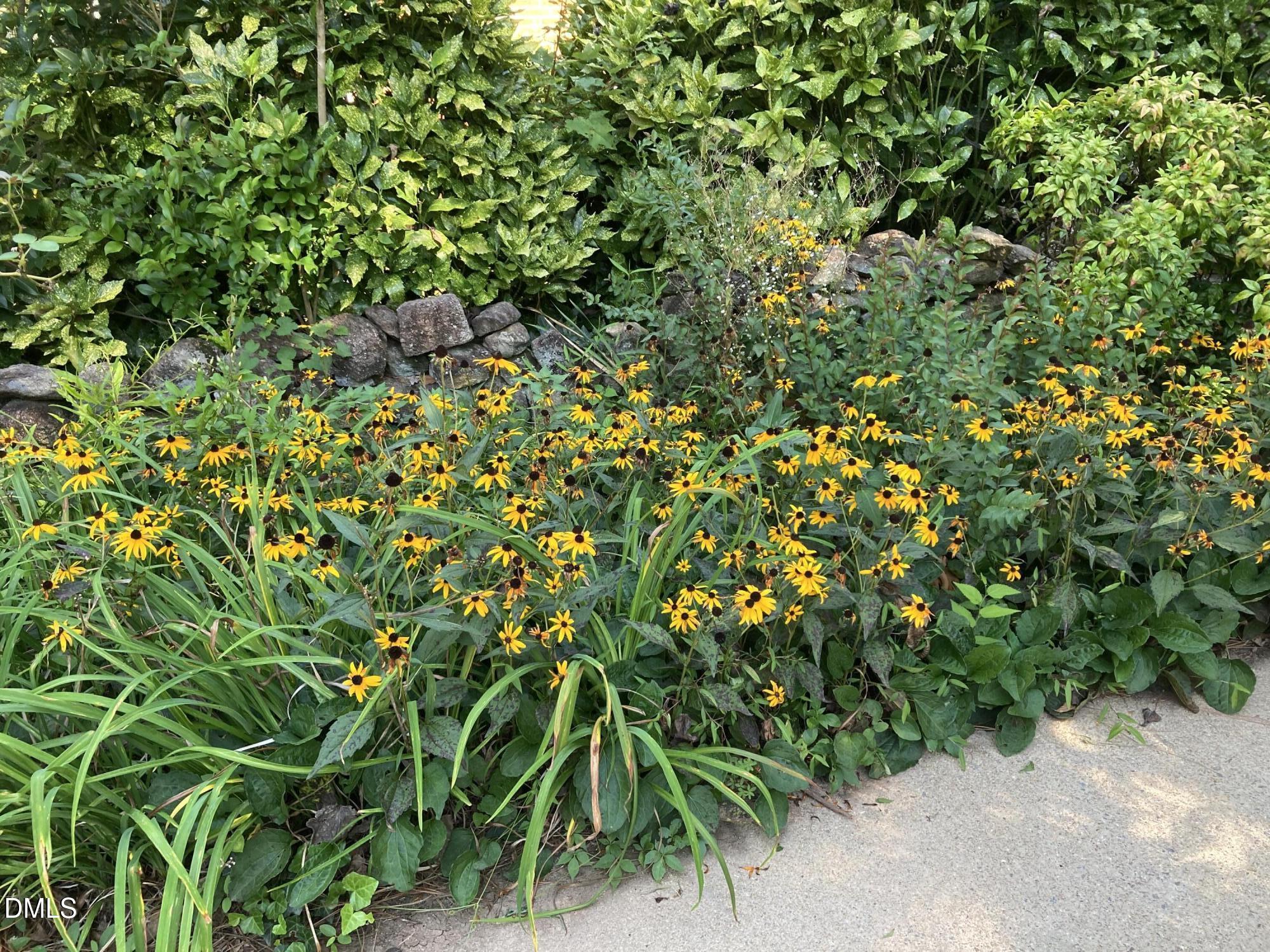 2064 Oxford Road Henderson, NC 27536 - Photo 66 of 68 a backyard of a house with lots of green space
