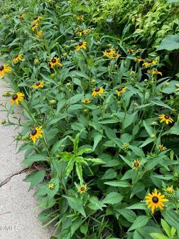 $349,900 | 2064 Oxford Road, Henderson, NC 27536