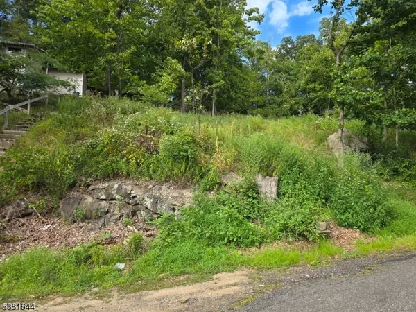 a view of a lush green forest with lots of trees