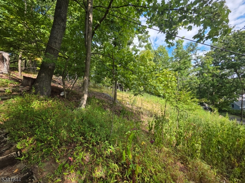13 Stonehenge Road Lake Hopatcong, NJ 07849 - Photo 11 of 12 a backyard of a house with lots of green space and garden