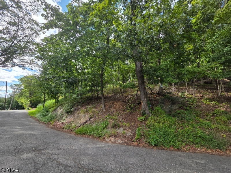 13 Stonehenge Road Lake Hopatcong, NJ 07849 - Photo 2 of 12 a view of outdoor space and yard