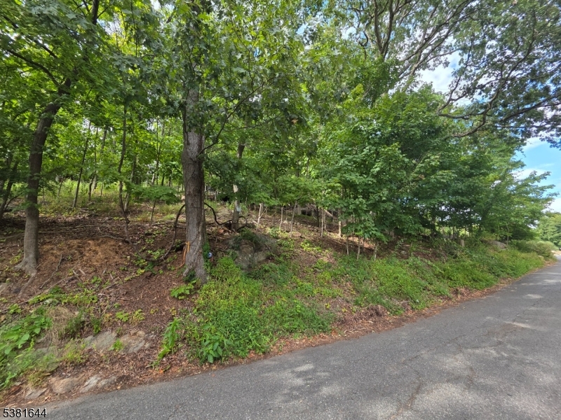 13 Stonehenge Road Lake Hopatcong, NJ 07849 - Photo 3 of 12 a view of a forest with trees