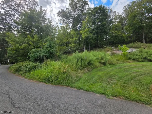 a view of backyard with green space
