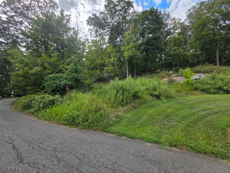 13 Stonehenge Road Lake Hopatcong, NJ 07849 - Photo 4 of 12 a view of backyard with green space