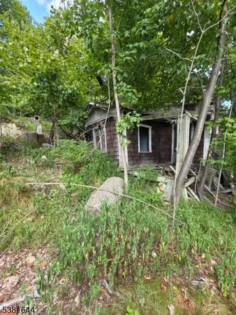 a view of backyard of house with green space