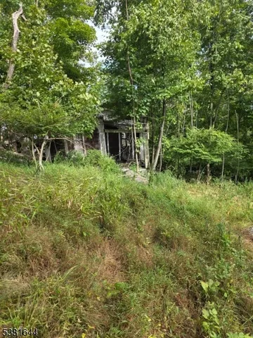 a backyard of a house with lots of green space and fountain
