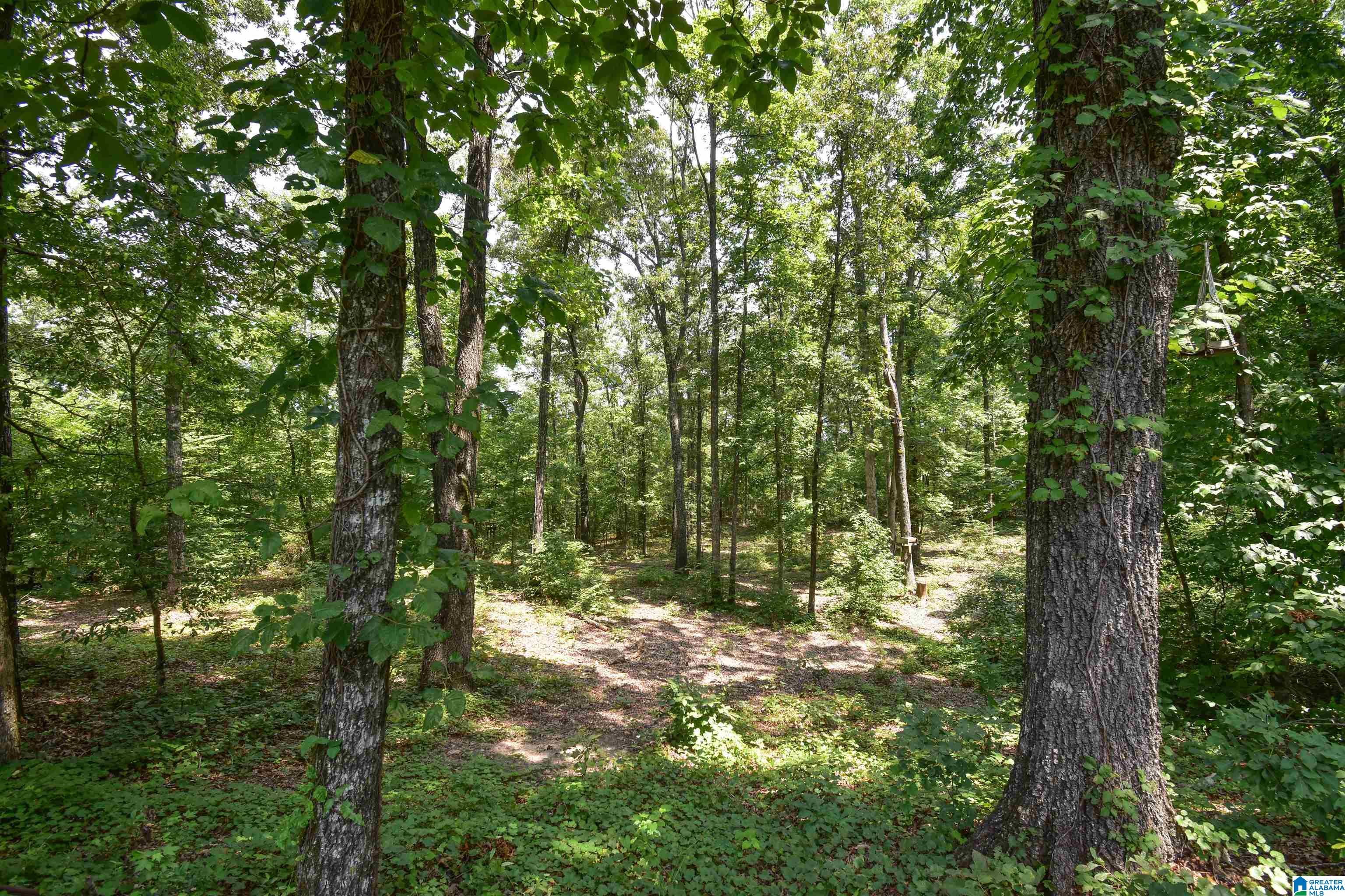 11322 Hen Smith Road Vance, AL 35490 - Photo 44 of 55 Gallery Image 44