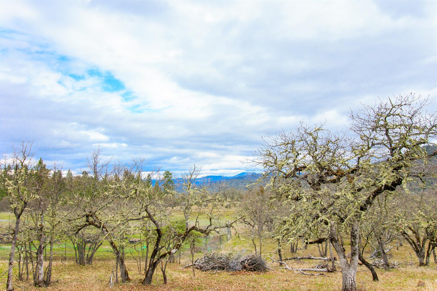 0 Wren Ridge Eagle Point, OR 97524 - Photo 10 of 12 Additional Photo