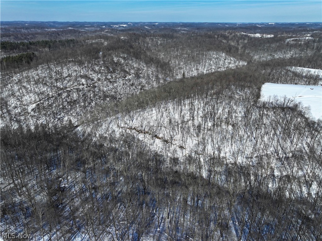 0 Tract 4 Twp Road Woodsfield, OH 43793 - Photo 11 of 34