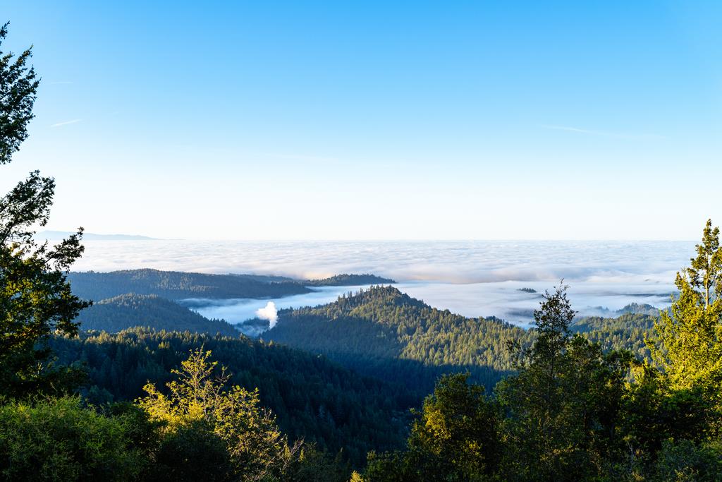 25220 Quail Ridge Road Los Gatos, CA 95033 - Photo 56 of 94