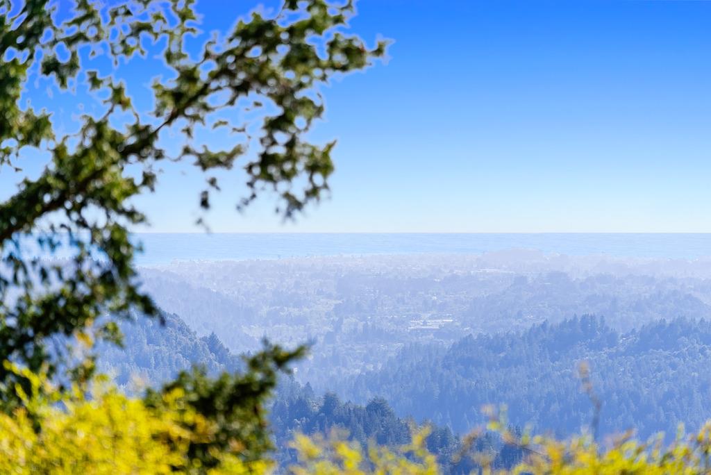 25220 Quail Ridge Road Los Gatos, CA 95033 - Photo 84 of 94