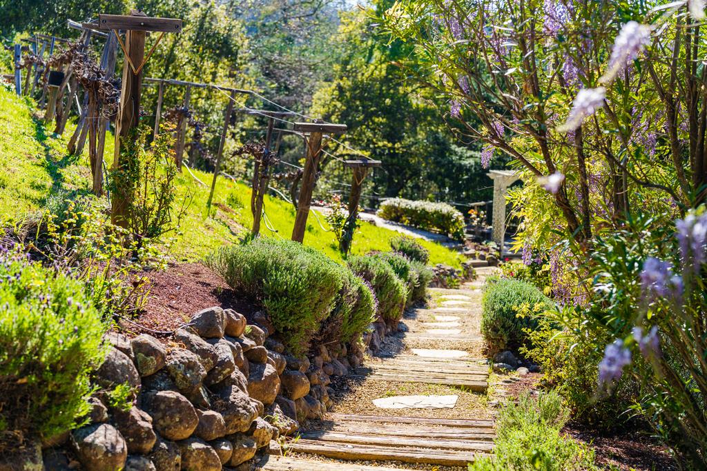 25220 Quail Ridge Road Los Gatos, CA 95033 - Photo 94 of 94 a view of a yard with plants and large trees