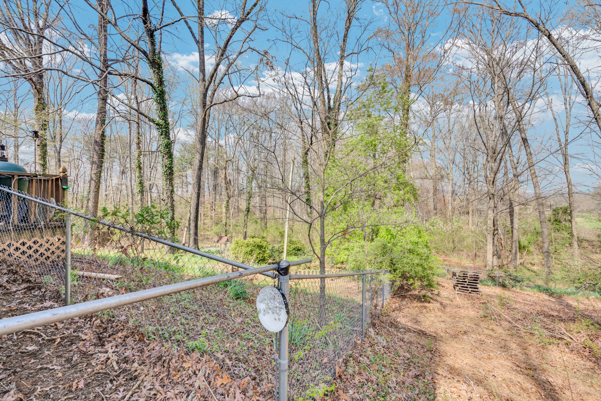 139 Bilbrey Road Livingston, TN 38570 - Photo 33 of 35 a backyard of a house with lots of green space