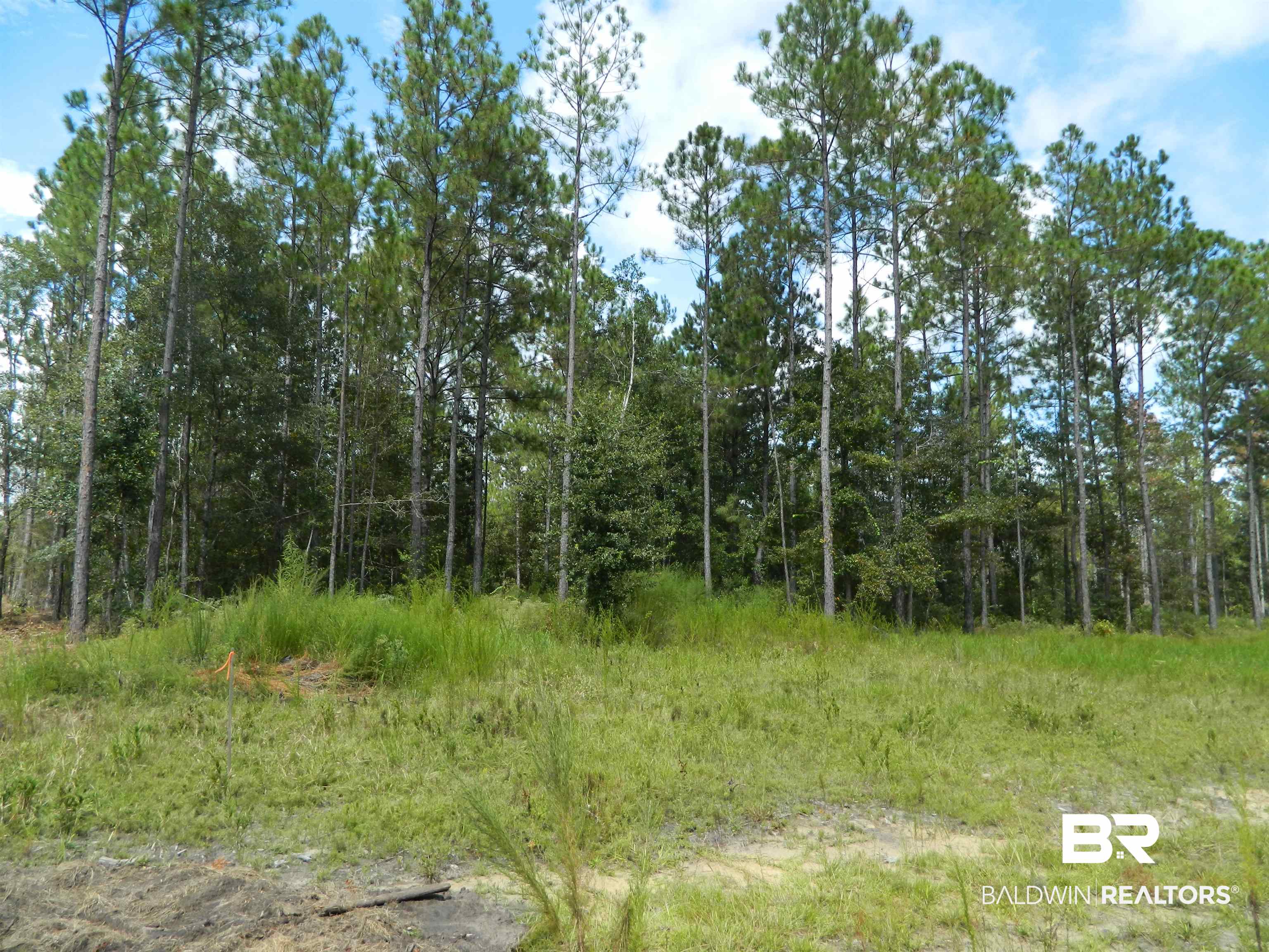 4 Foxtrap Road Axis, AL 36505 - Photo 3 of 9