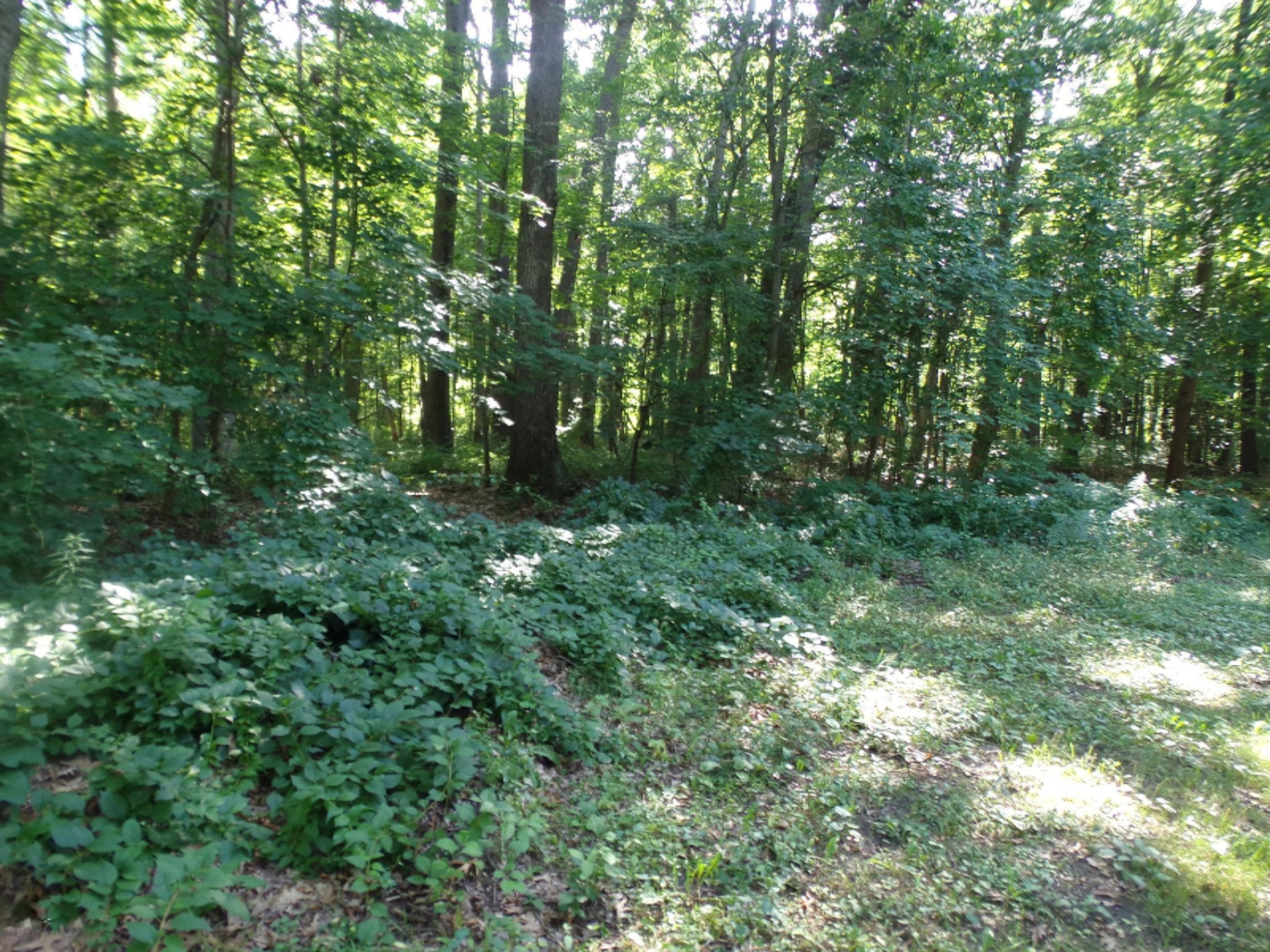 1795 Auble Road Muskegon, MI 49445 - Photo 7 of 8 Auble Woods
