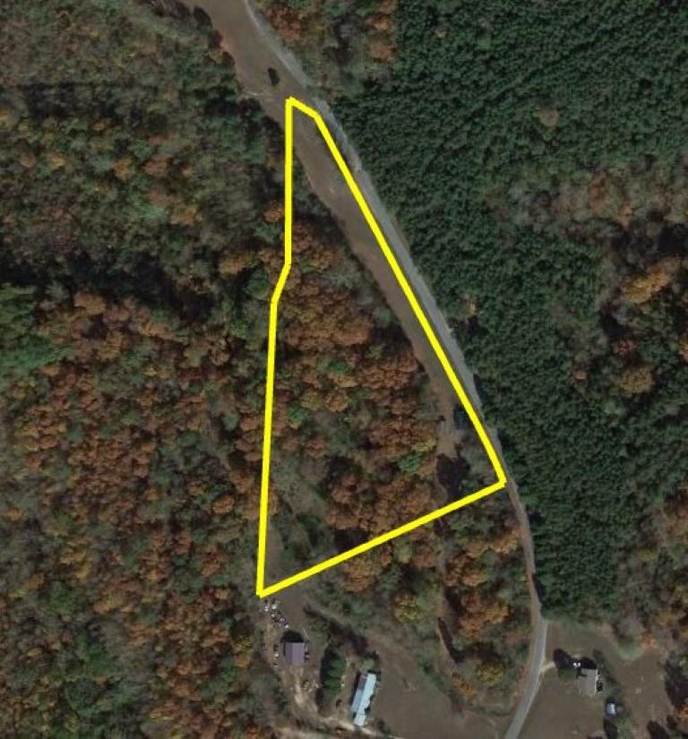 0 Cut Off Road Ethridge, TN 38456 - Photo 9 of 10 Gallery Image 9