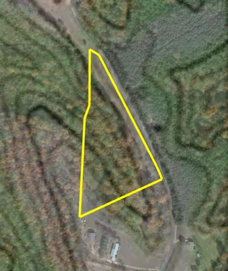 0 Cut Off Road Ethridge, TN 38456 - Photo 10 of 10 Gallery Image 10