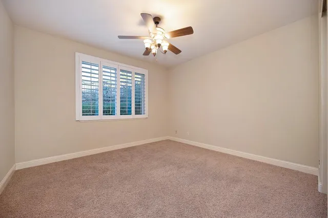 a backyard of a house with lawn chairs plants and large tree