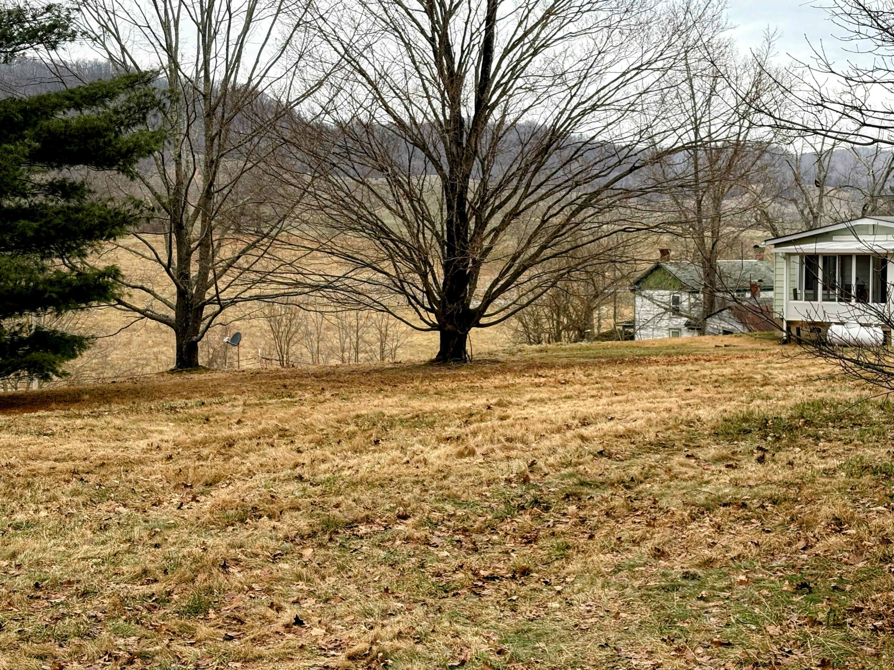 6701 Valley View Lane Hot Springs, VA 24445 - Photo 19 of 22 a view of yard covered with snow in front of house