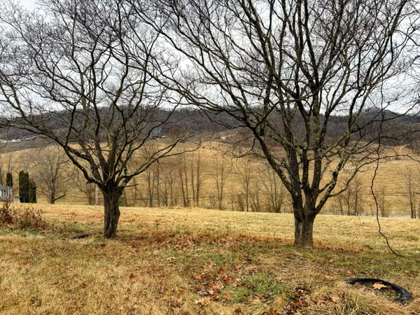 $129,000 | 6701 Valley View Lane, Hot Springs, VA 24445