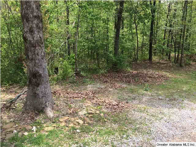 1346 Glass Place Morris, AL 35116 - Photo 18 of 18