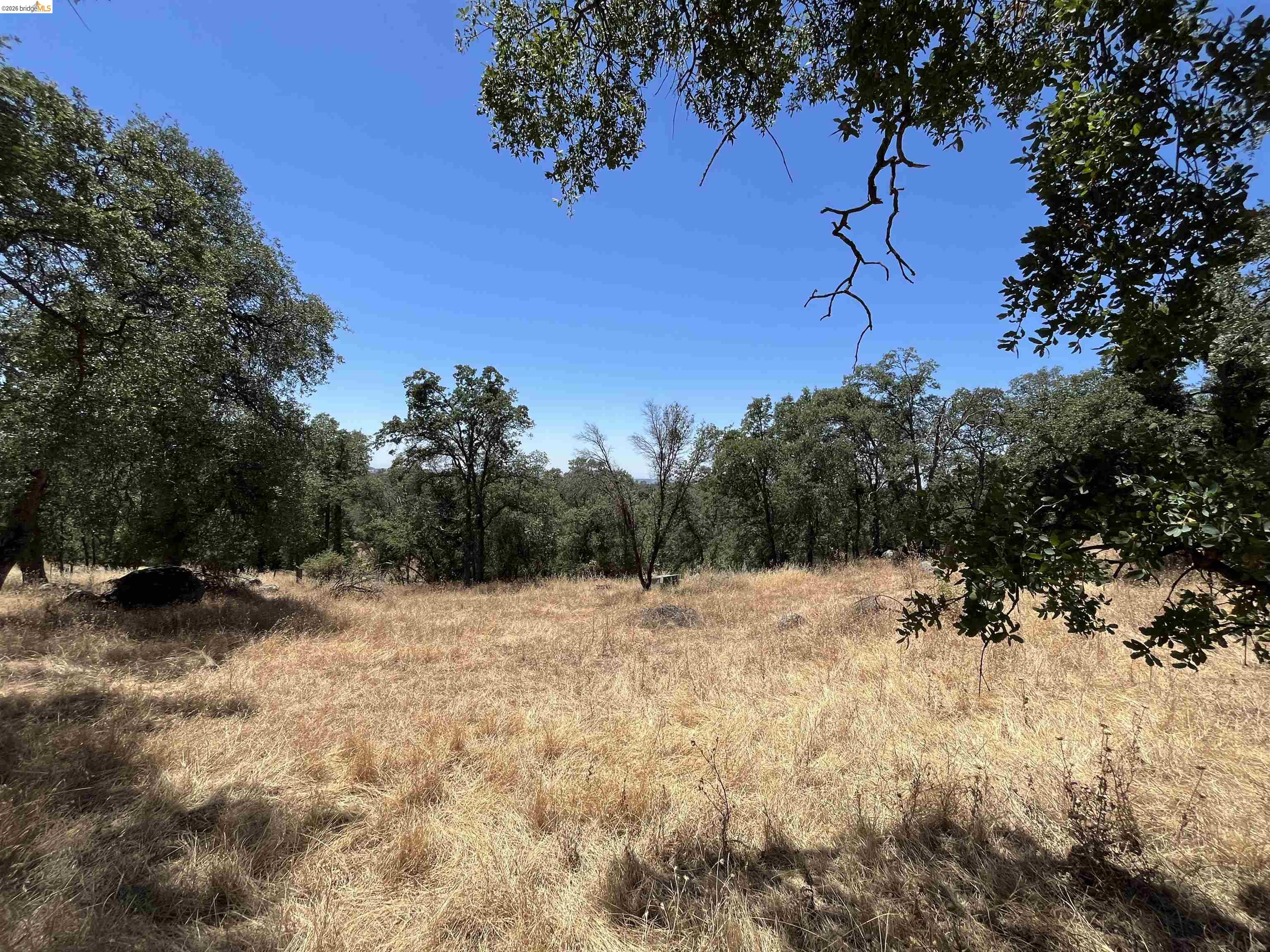 18195 Wards Ferry Road Sonora, CA 95370 - Photo 55 of 67 Expansive parcel featuring mature trees, a clear blue sky, and natural terrain