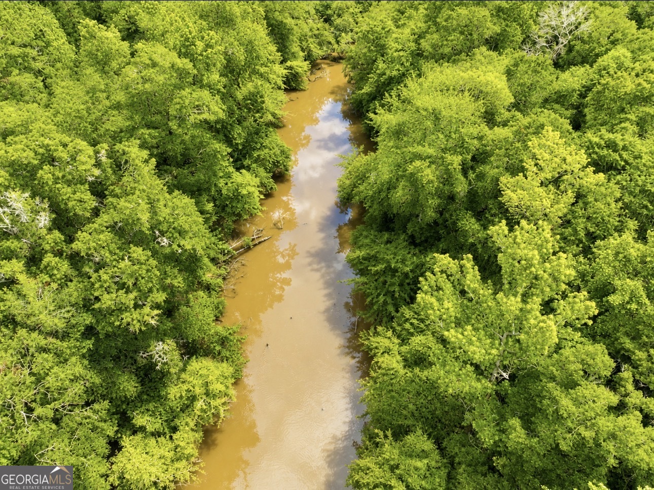 0 Rocky Creek Road Thomaston, GA 30286 - Photo 25 of 30