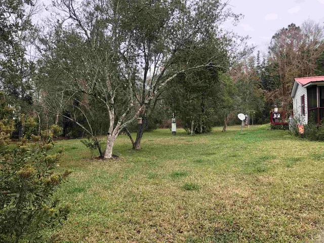 a view of outdoor space with trees