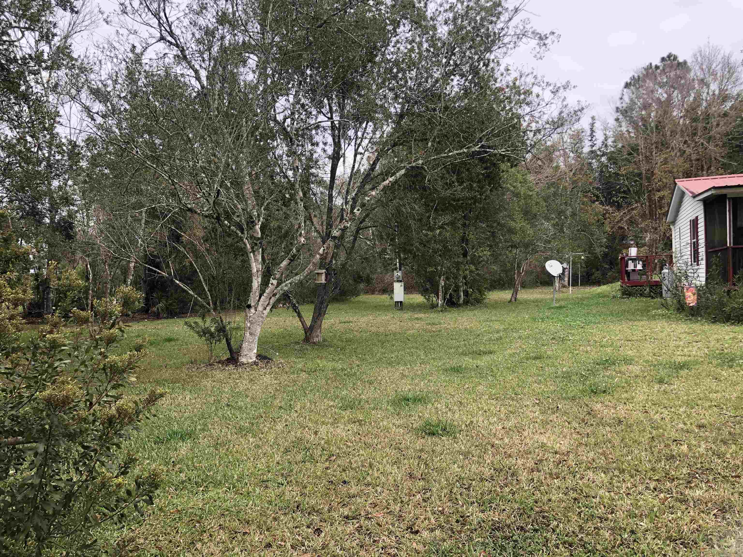3180 Green Acres Road St. Augustine, FL 32084 - Photo 19 of 24 a view of outdoor space with trees