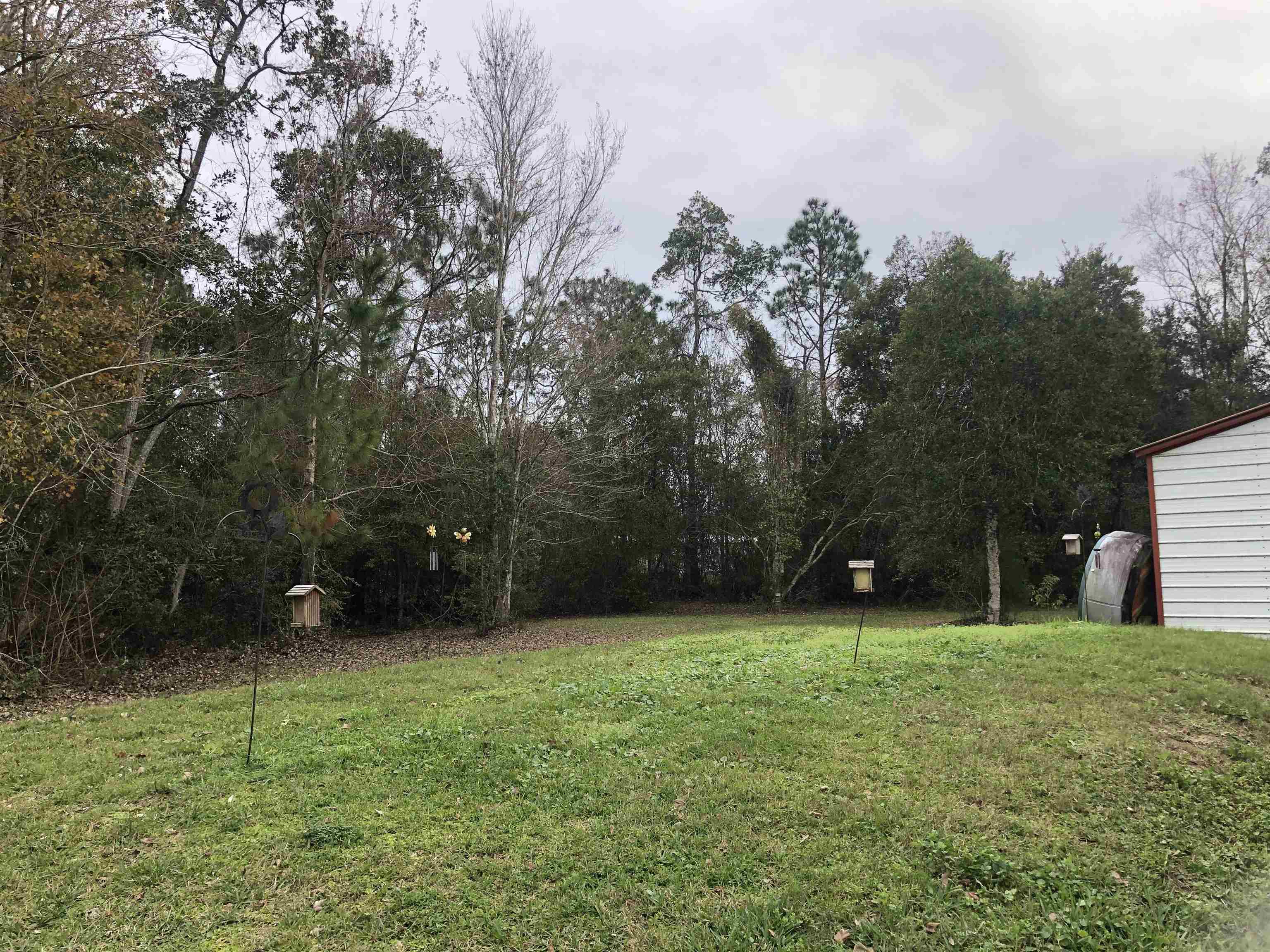 3180 Green Acres Road St. Augustine, FL 32084 - Photo 21 of 24 a view of a field with a tree in the background