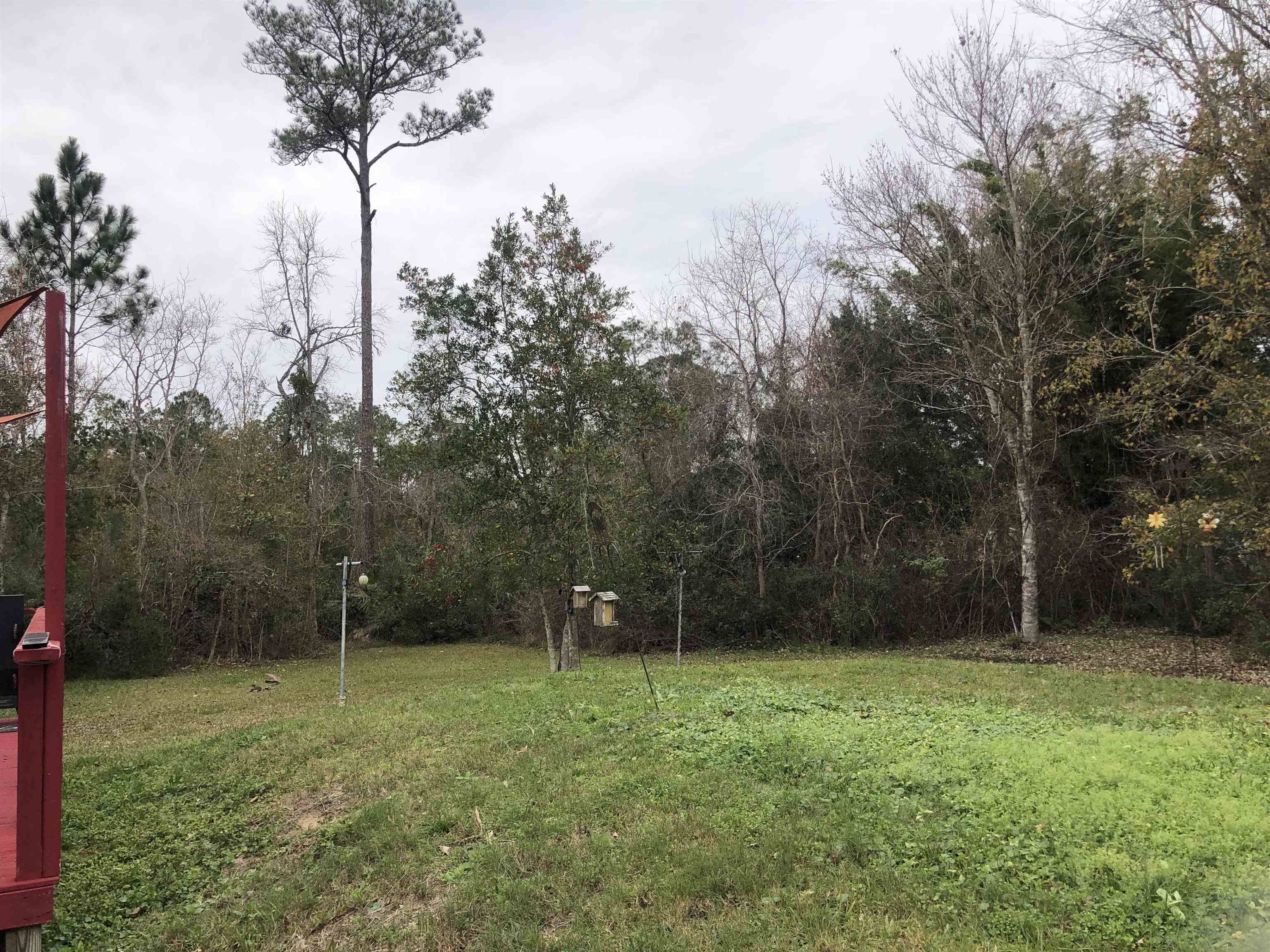 3180 Green Acres Road St. Augustine, FL 32084 - Photo 22 of 24 a view of outdoor space with green field and trees