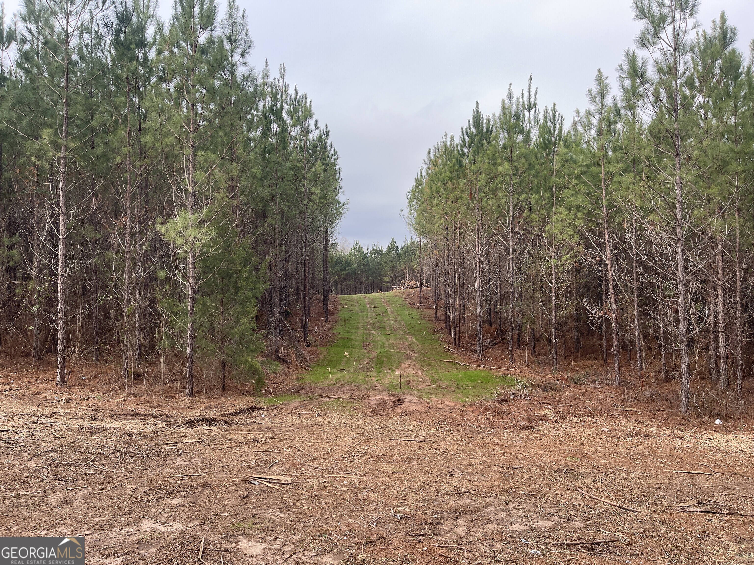 0 Bevis Rd Parcel 7 Franklin, GA 30217 - Photo 1 of 5 a view of backyard with green space
